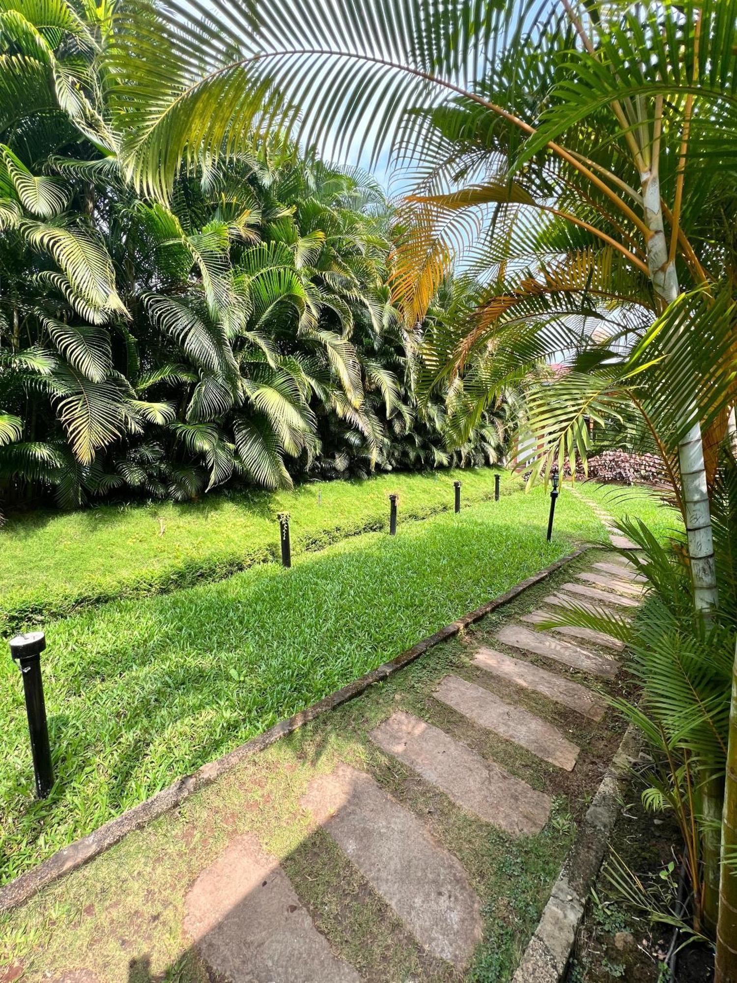 Coorg Nesara Hotel And Resort Kushālnagar Exterior foto